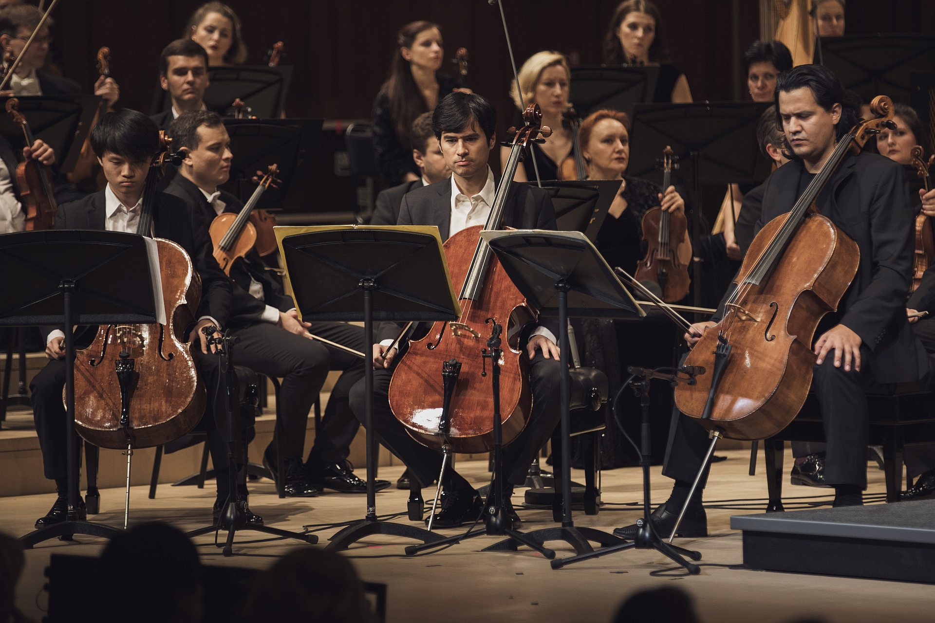 Фестиваль VivaCello